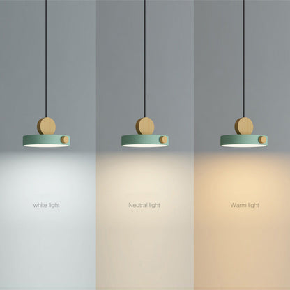 Houten LED Hanglamp