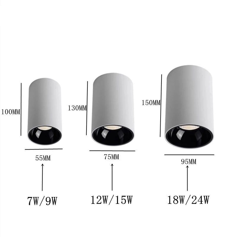 Ronde Cob Plafondlampen