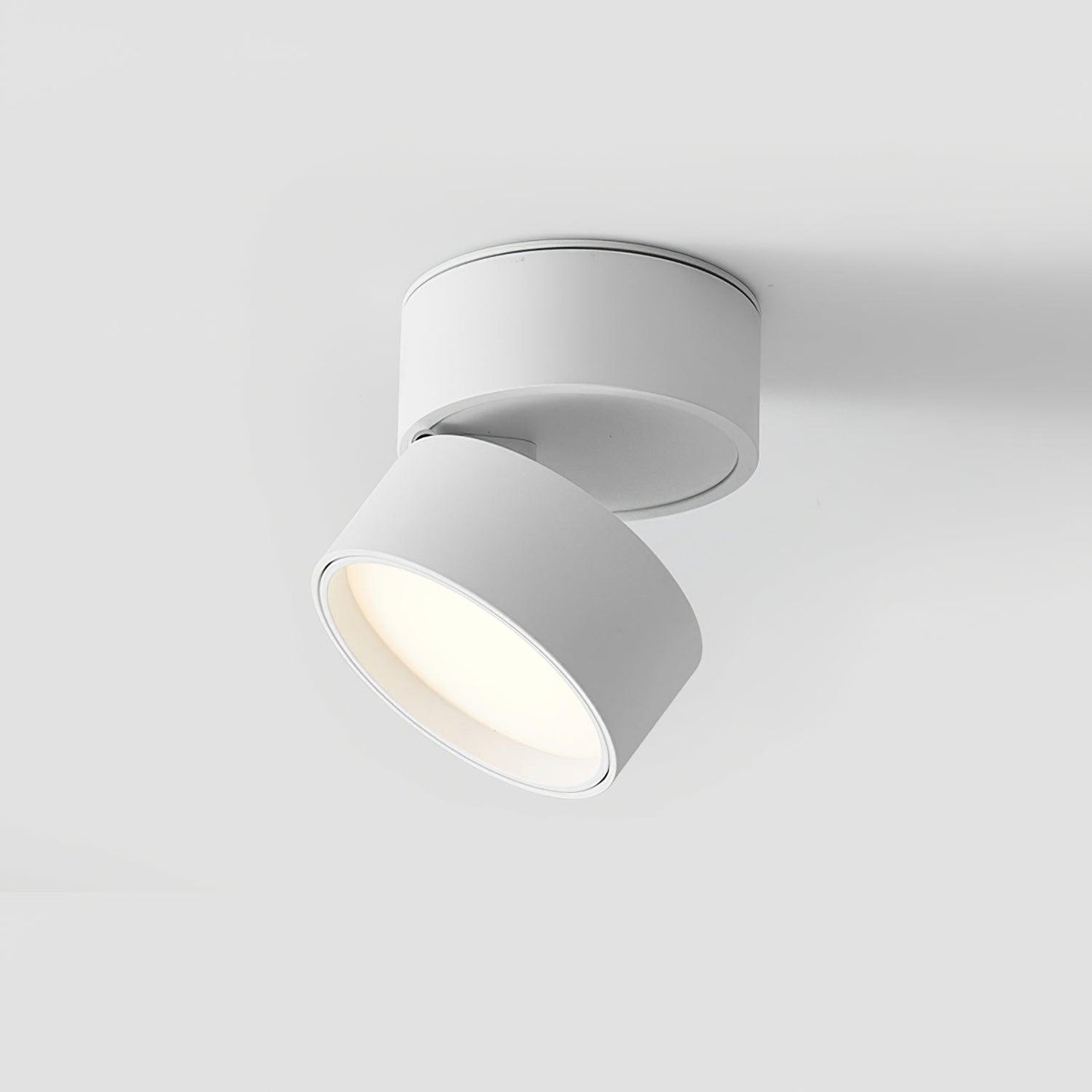 Surface-mounted ceiling lamp Savvina