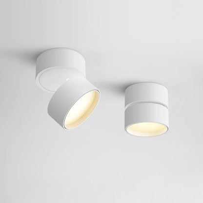 Surface-mounted ceiling lamp Savvina