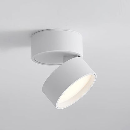 Surface-mounted ceiling lamp Savvina