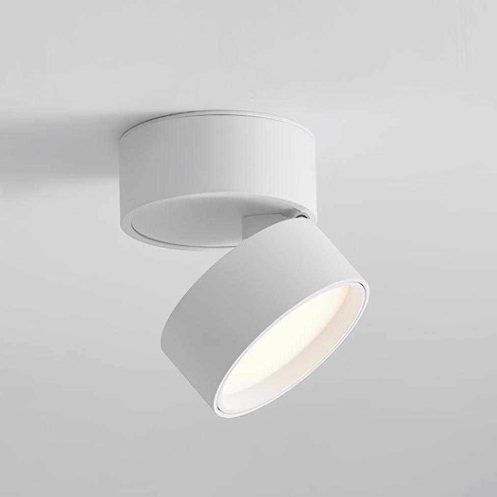 Favilla Oppervlakte Plafondlamp