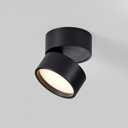 Surface-mounted ceiling lamp Savvina