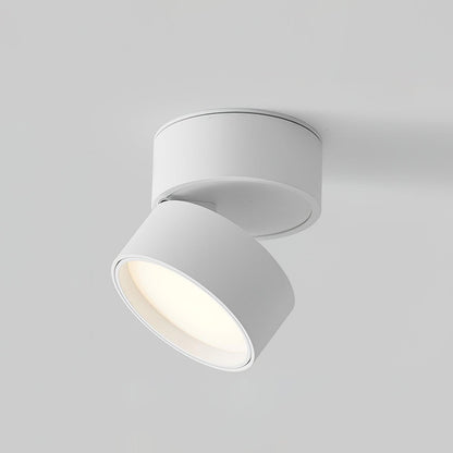 Surface-mounted ceiling lamp Savvina