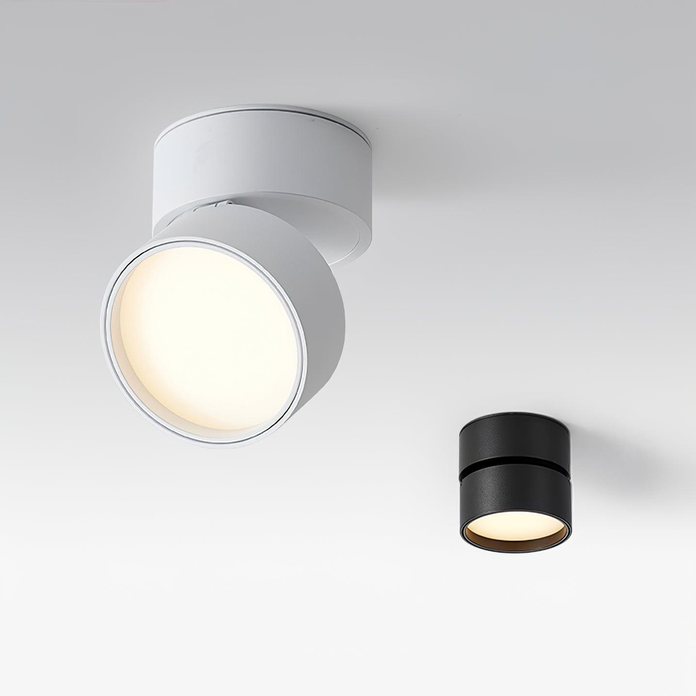 Surface-mounted ceiling lamp Savvina