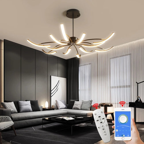 Luster Design Ceiling Lamp 